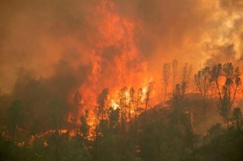 ABD’de devam eden yangınlar haftalarca sürebilir