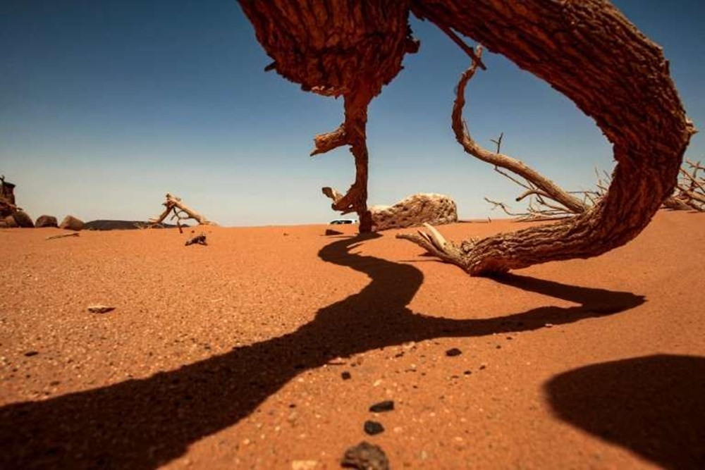 Altın avcıları Sudan'ın 2 bin yıllık tarihini yok etti