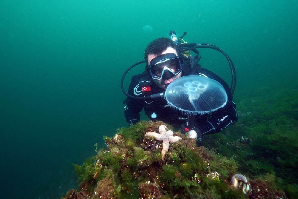 Marmara'da görülen ay denizanası için uyarı