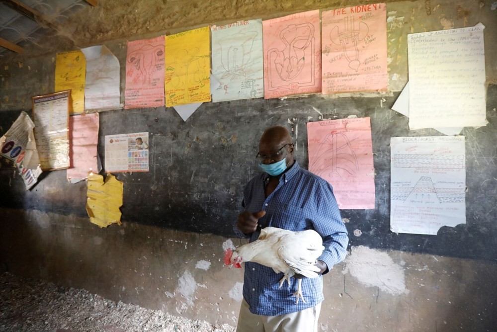 Kenya'da sınıfları tavuklar doldurdu