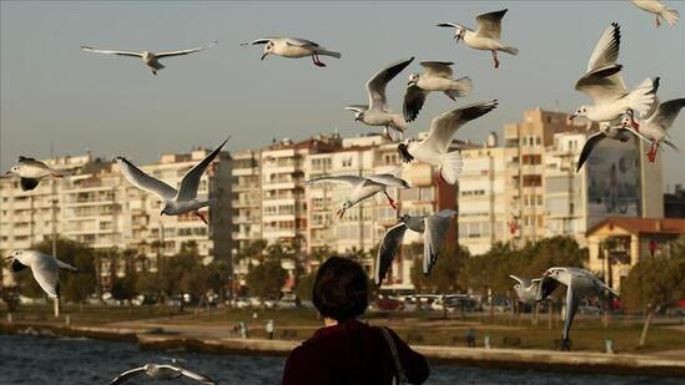 Türkiye'de en pahalı ve en ucuz konutlar hangi illerde?