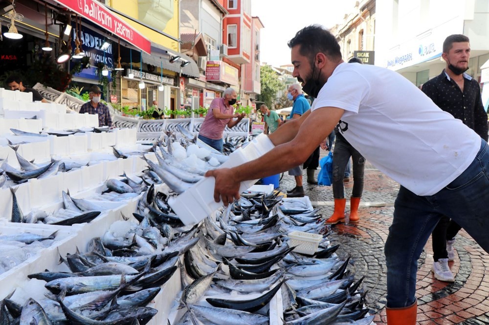 Bir daha bu paraya düşmez! Tezgahlarda palamut bolluğu