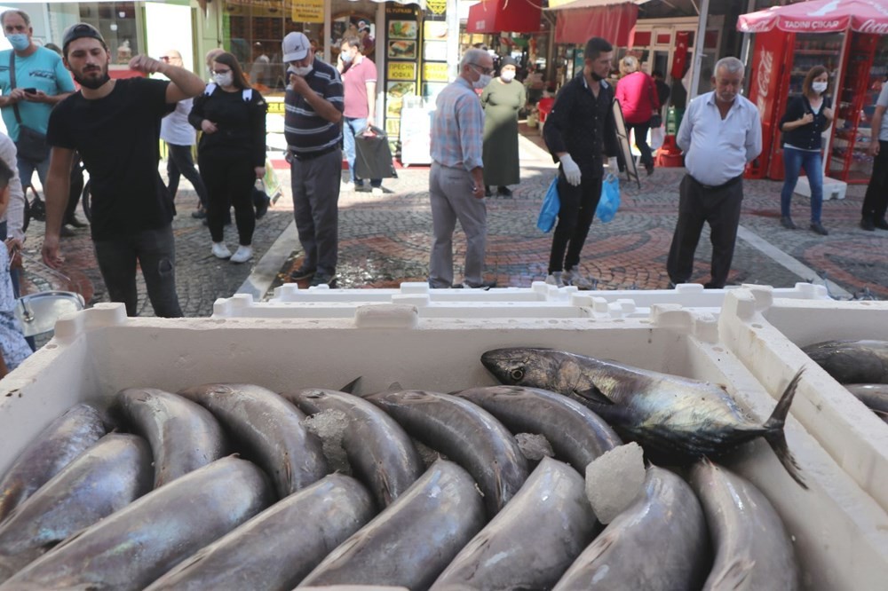 Bir daha bu paraya düşmez! Tezgahlarda palamut bolluğu