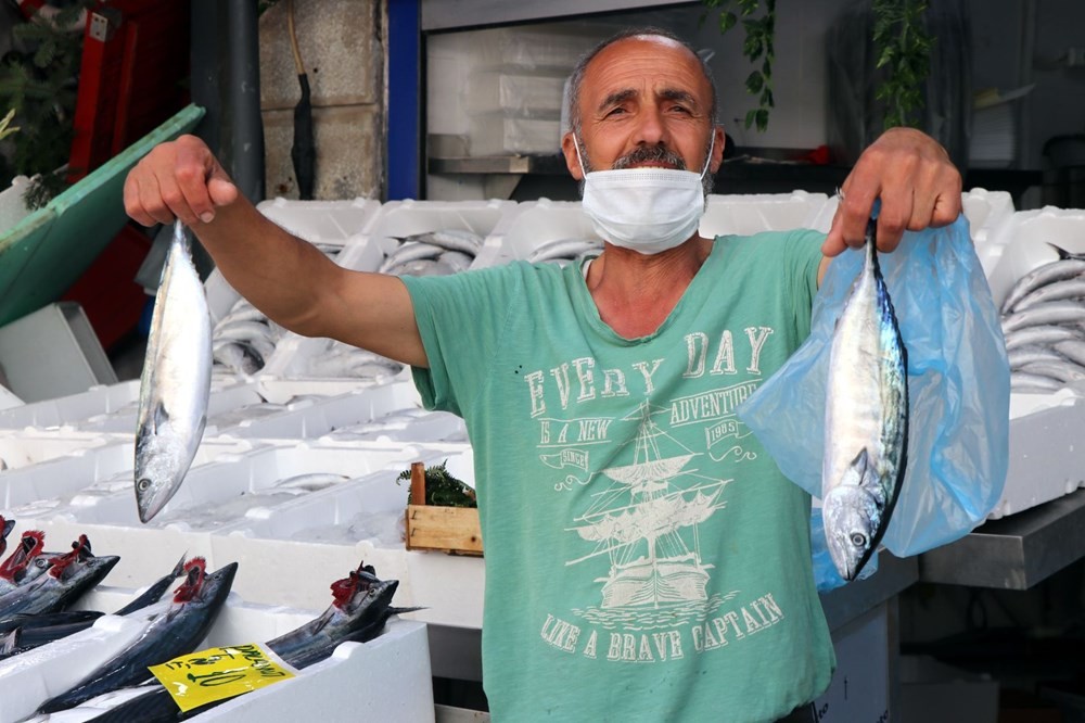 Bir daha bu paraya düşmez! Tezgahlarda palamut bolluğu