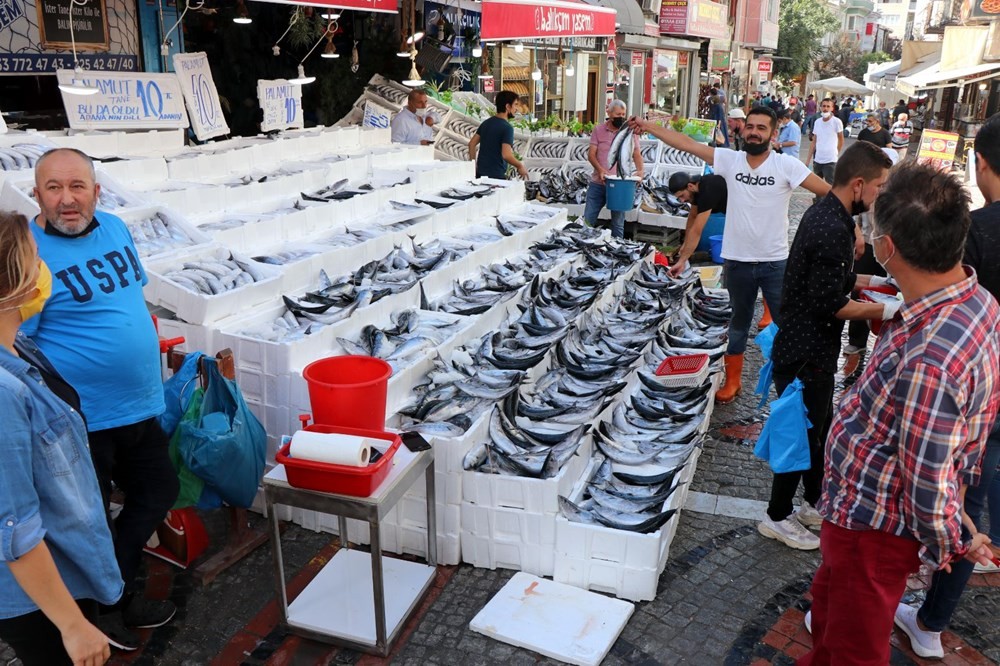 Bir daha bu paraya düşmez! Tezgahlarda palamut bolluğu