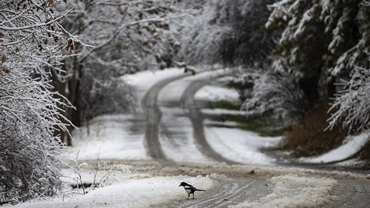 Meteoroloji uyardı, kar geliyor