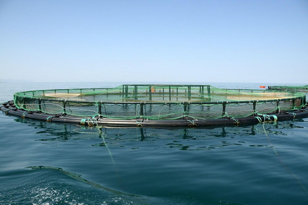 Karadeniz'den önce Vietnam'a, oradan Japonya'ya