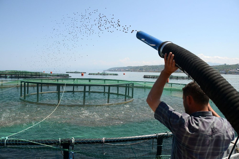 Karadeniz'den önce Vietnam'a, oradan Japonya'ya