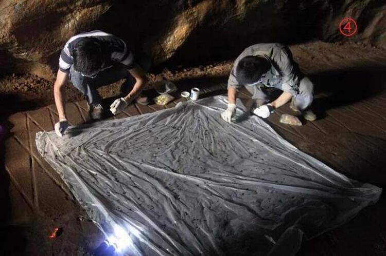 Korona virüsün kaynağına dair yeni bilgiler ortaya çıktı