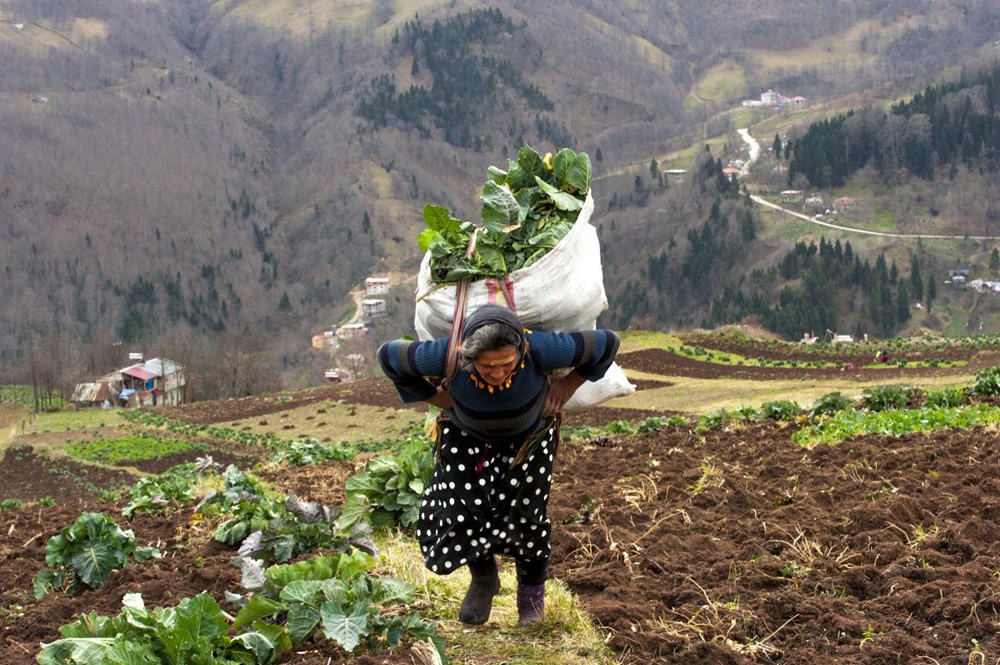 Karadeniz'de kış aylarının sıcaklık rekoru kırıldı