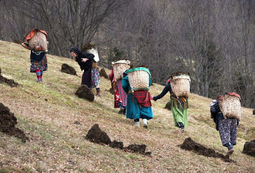 Karadeniz'de kış aylarının sıcaklık rekoru kırıldı