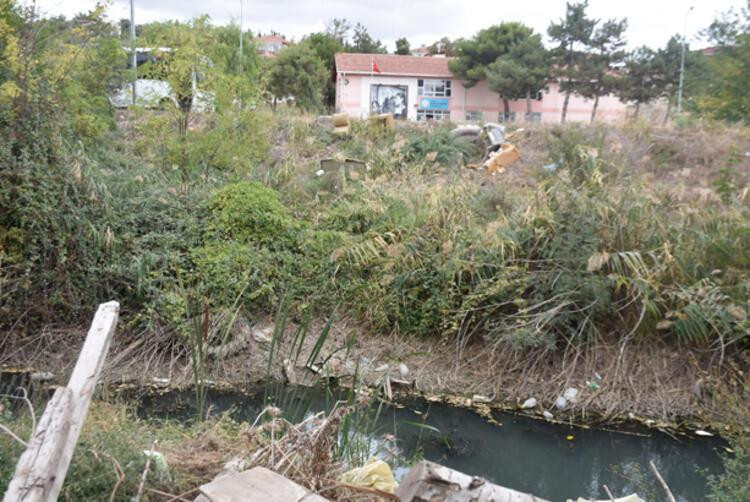 Kuraklıktan yeşile bürünen Bayır Deresi, çöplüğe döndü