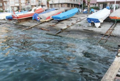 Gölcük'te sahil denizanasıyla kaplandı