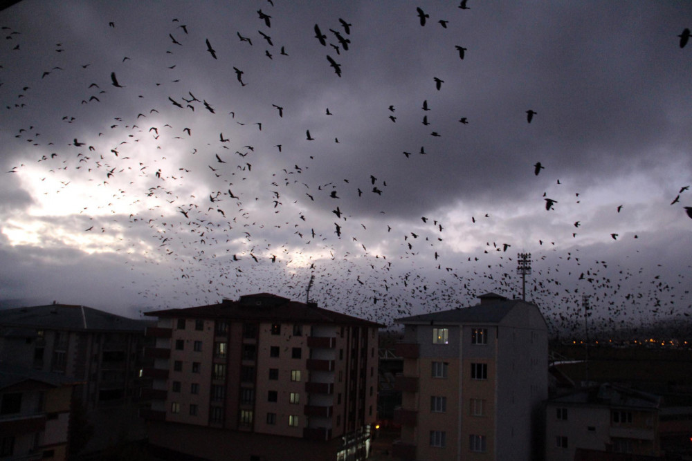 Kabus geri döndü!