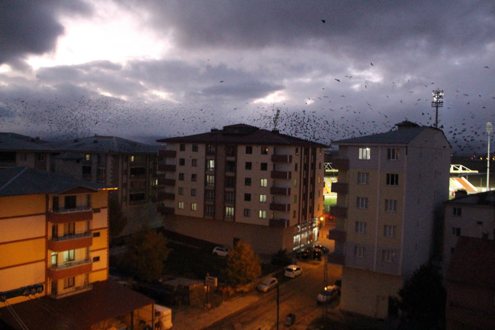 Kabus geri döndü!