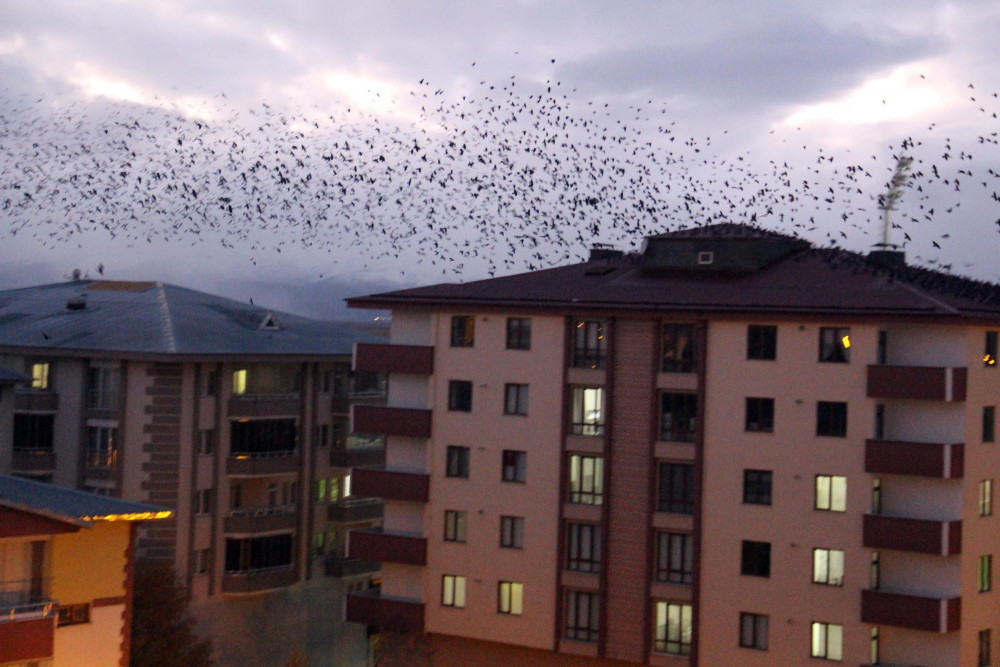 Kabus geri döndü!