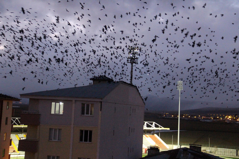 Kabus geri döndü!