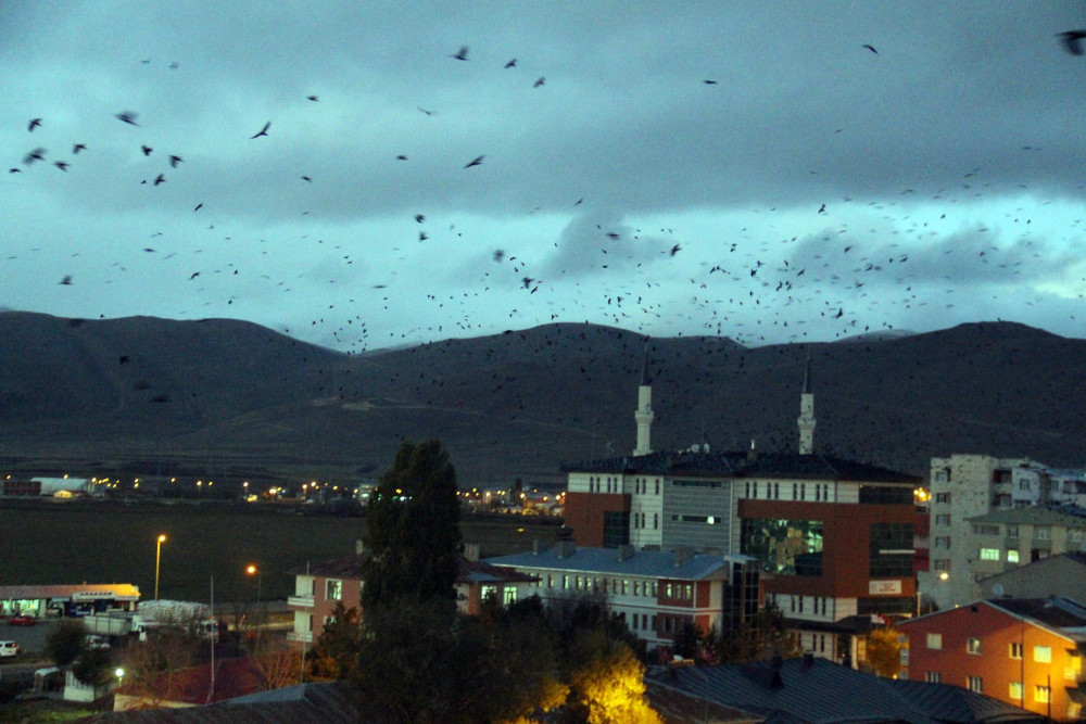 Kabus geri döndü!