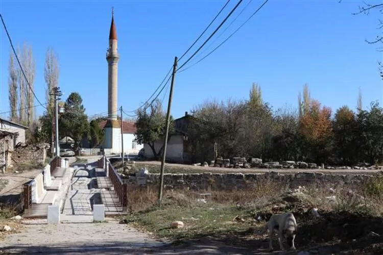 Büyük heyecan: Kütahya'da bulundu! 