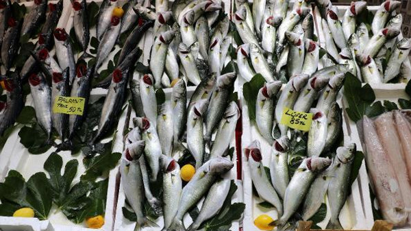 Soğuk hava fiyatları düşürdü: Lüfer yemeyen kalmayacak!