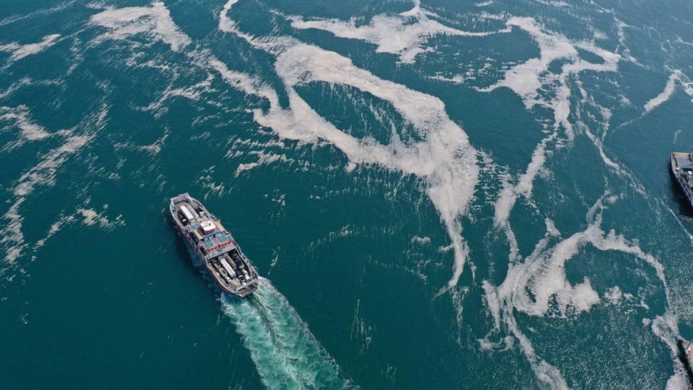 Marmara Denizi’nde müsilajın ardından 'bakteri' uyarısı!