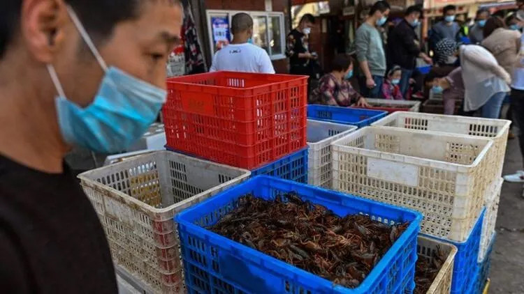 Yer yine Wuhan: 18 yeni virüs bulundu!