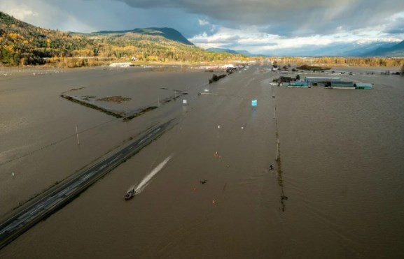 Kanada'da son 500 yılın felaketi: Selde mahsur kalan inekler jet ski ile kurtarıldı