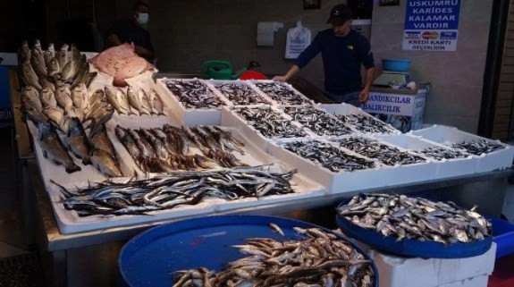 Karadeniz'de balık stoğu azalıyor