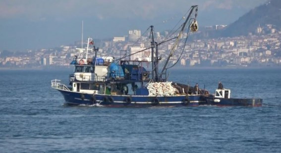 Karadeniz'de balık stoğu azalıyor