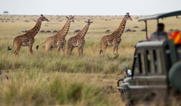 National Geographic seçti: 2022 yılında ziyaret edilecek en iyi rotalar