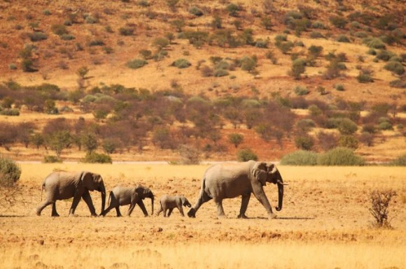 National Geographic seçti: 2022 yılında ziyaret edilecek en iyi rotalar