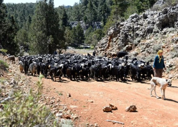 National Geographic seçti: 2022 yılında ziyaret edilecek en iyi rotalar