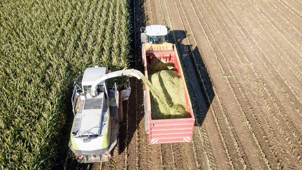 Gıda fiyatları 10 yılın zirvesinde: Gübre kıtlığı uyarısı!