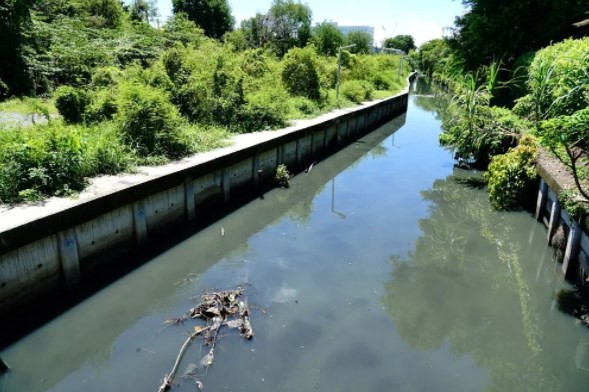 Mikroplastik tehlikesinin su altı yaşamına verdiği zarar ilk kez ortaya konuldu