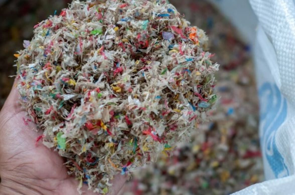 Mikroplastik tehlikesinin su altı yaşamına verdiği zarar ilk kez ortaya konuldu