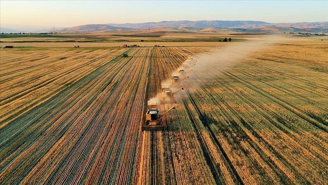 Milyonlara iş fırsatı olacak: 14.5 milyar TL destek geliyor!