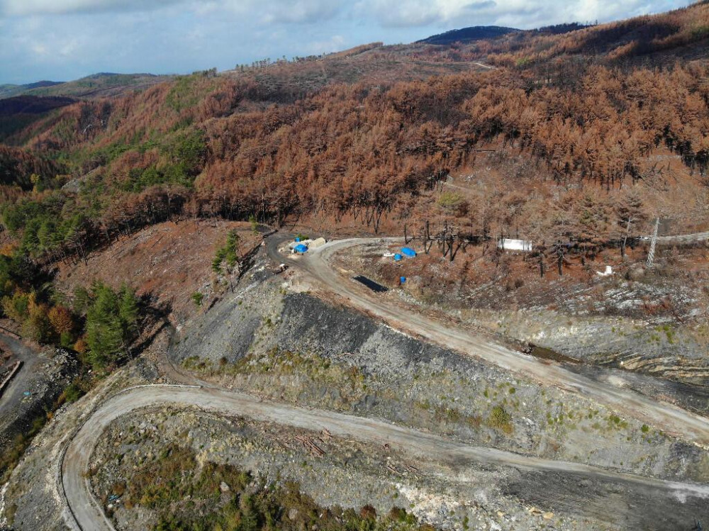 Çalışmalara 10 bin kişi katılıyor: 20 milyon fidanla yeşillenecek!