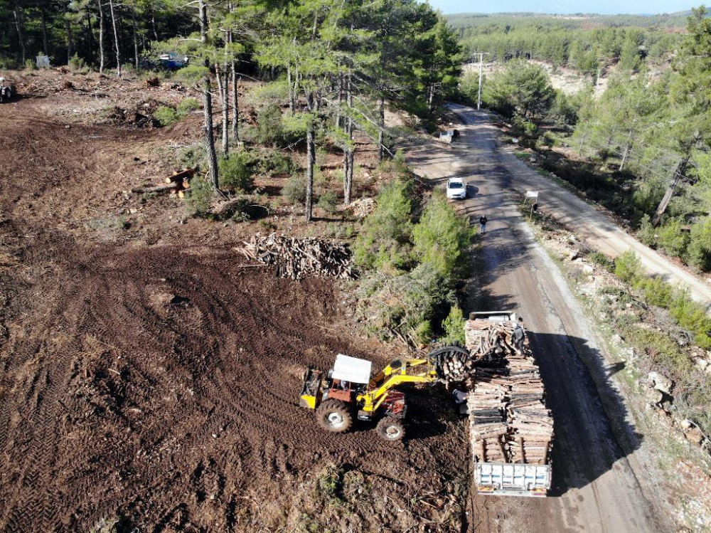 Çalışmalara 10 bin kişi katılıyor: 20 milyon fidanla yeşillenecek!