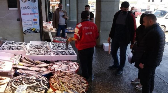 Karadeniz'de hamsi bolluğu