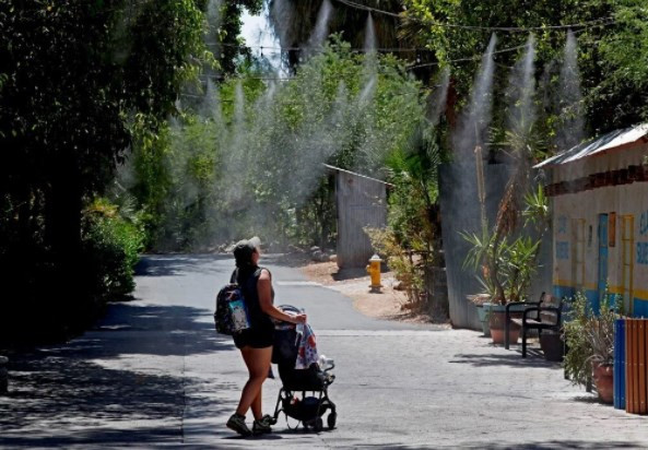 ABD'de hayvanlar Kovid-19'a karşı aşılanmaya başlandı