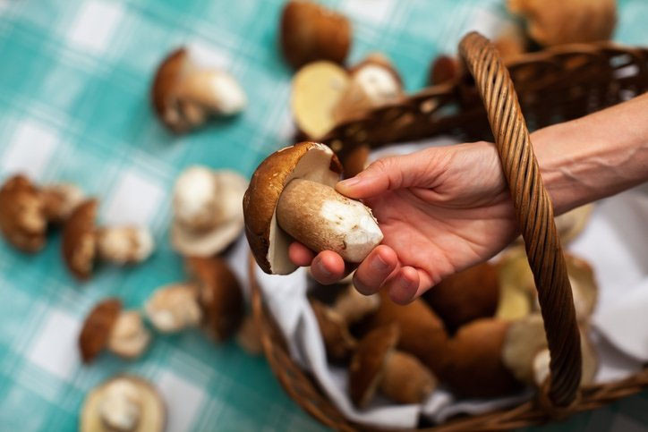 İşte Alzheimer'ın şifası muhteşem besin!