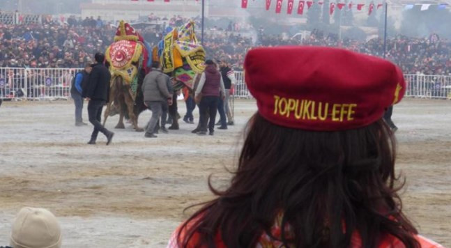 Yılın son deve güreşi binlerce kişi tarafından izlendi