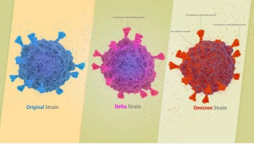 Omikron’un ardından dünyayı tehdit eden çifte varyat: Delmikron nedir?