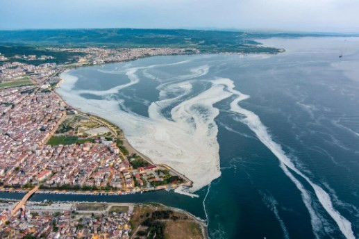 Kirlilik ve küçük balık avcılığı müsilaj oluşumunu tetikliyor