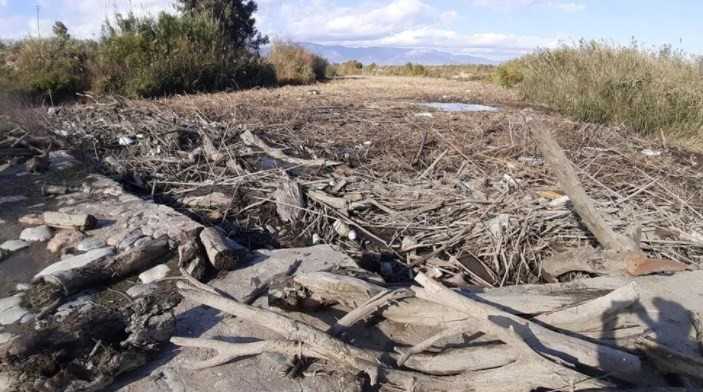 Büyük Menderes Nehri'nde atık nedeniyle binlerce balık öldü