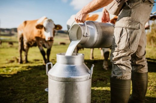 Böcek burgerden, laboratuvarda üretilen kahveye: 2030 yılına kadar menülerde yer alacaklar