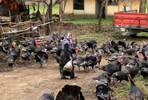 Hindiler yılbaşı için hazırlanmaya başladı