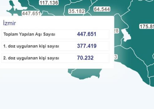 Türkiye'de kaç kişiye korona virüs aşısı yapıldı? İl il son rakamlar