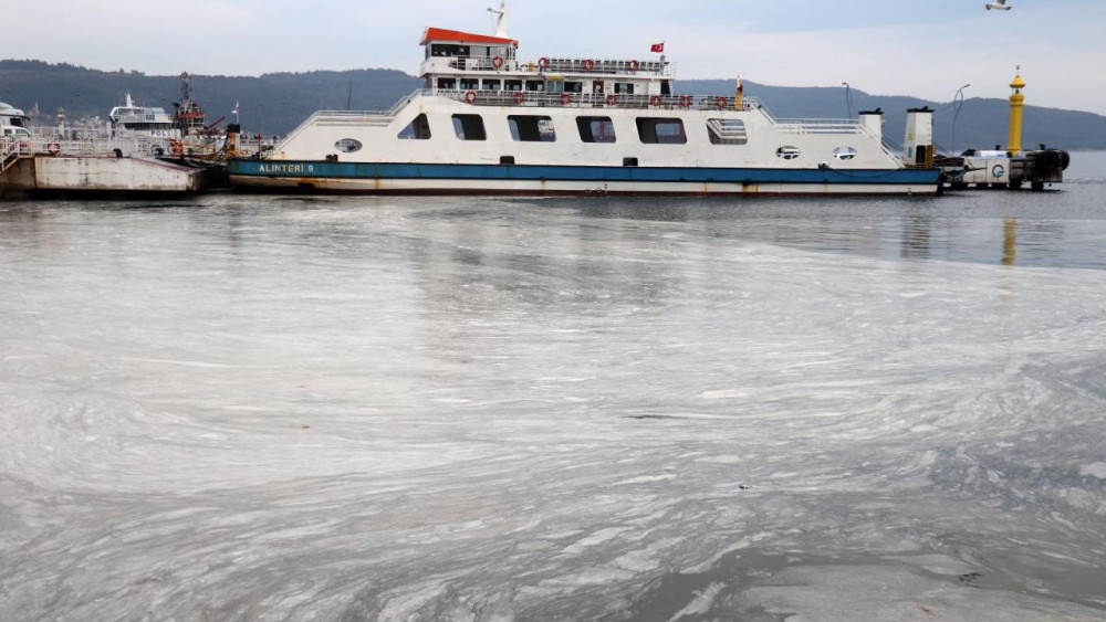 Çanakkale Boğazı’nda 'müsilaj' kabusu devam ediyor!