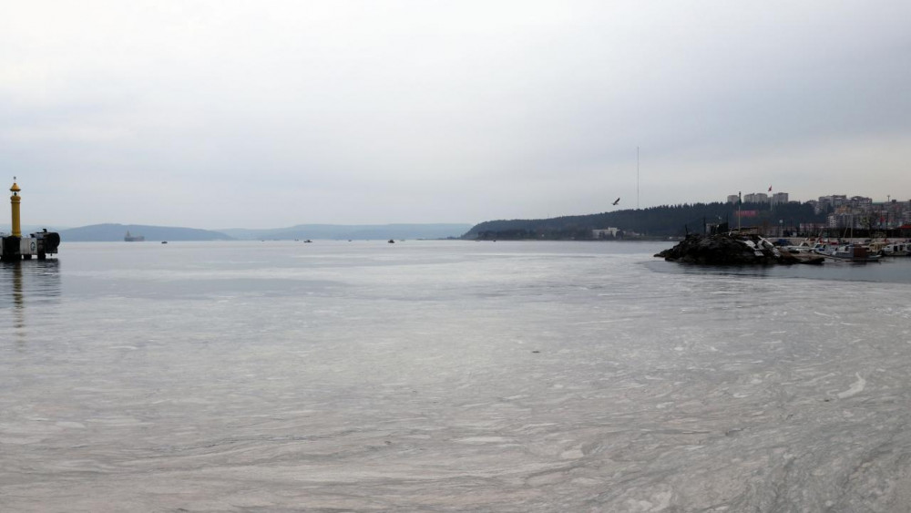 Çanakkale Boğazı’nda 'müsilaj' kabusu devam ediyor!